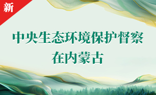 中央生態環境保護督察在內蒙古